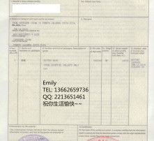 高清图片代理服务详解 提升视觉体验的专业解决方案